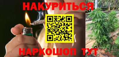 МДПВ Кингисепп