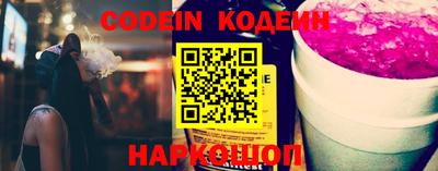 МДПВ Кингисепп