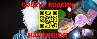МДПВ Кингисепп