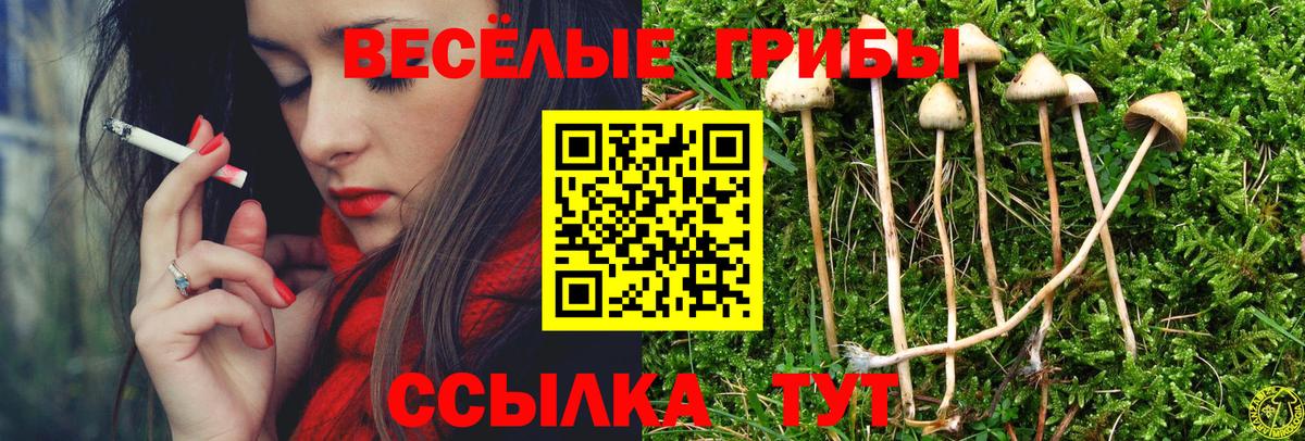 Верхняя Салда  Псилоцибиновые грибы прущие грибы  где купить   Вход с VPN 