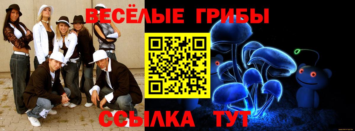 Псилоцибиновые грибы мицелий Верхняя Салда